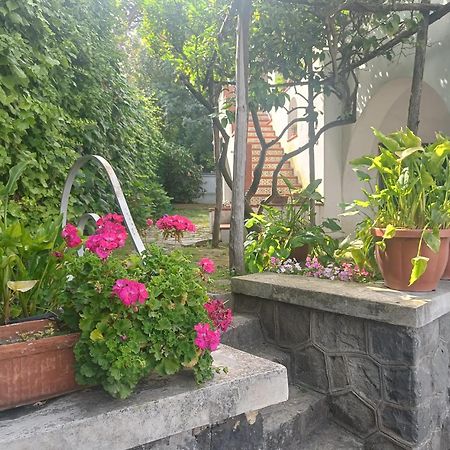 Апартаменты Casa Olivella Торре-дель-Греко Экстерьер фото